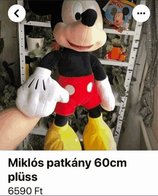 Miklós Patkány60cmplüss6590ft Meme