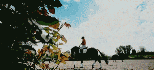 a person riding a horse in a dirt field