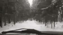 Onlyinrussia Horse On The Road GIF - Onlyinrussia Russia Horse On The Road GIFs