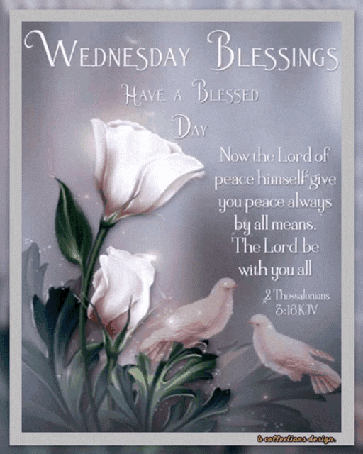 Wednesday Blessings GIF - Wednesday Blessings Happy GIFs
