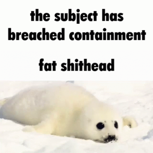 Seal Baby Seal GIF - Seal Baby Seal Fat Shithead GIFs