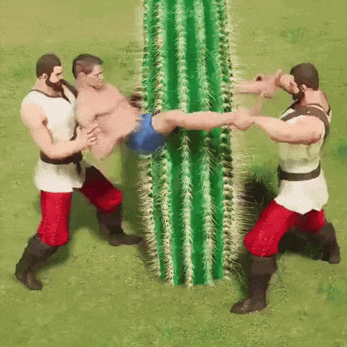 a group of men are standing around a cactus holding a man in their arms