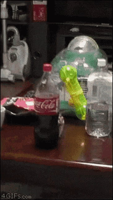 Hamster Coke GIF - Hamster Coke Hide GIFs