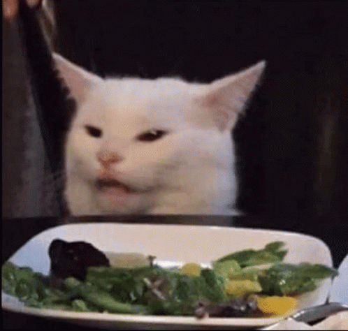 Cat Whats Happening GIF - Cat Whats Happening Im Not Hungry GIFs
