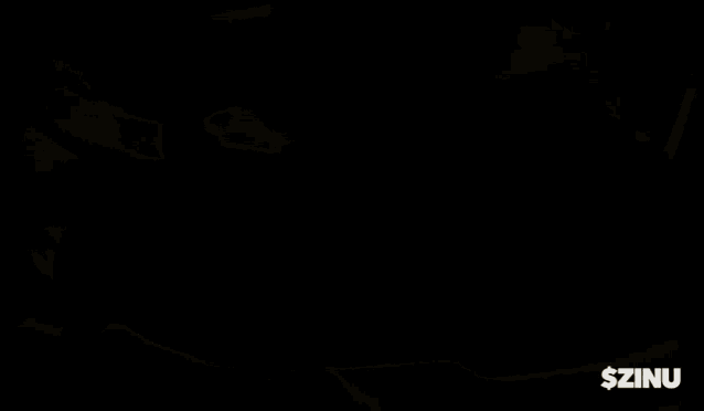 a black background with a white circle in the middle and the word $zinu on the bottom