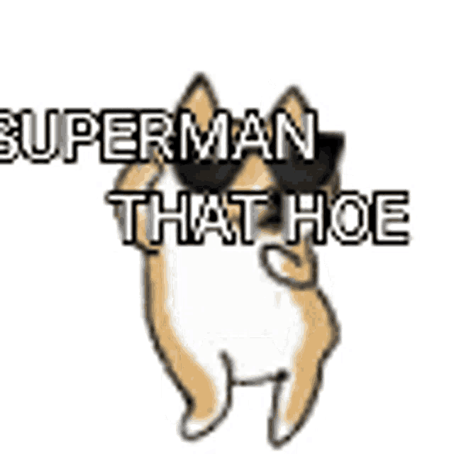 a dog wearing sunglasses and the words `` perman that hoe '' is dancing .