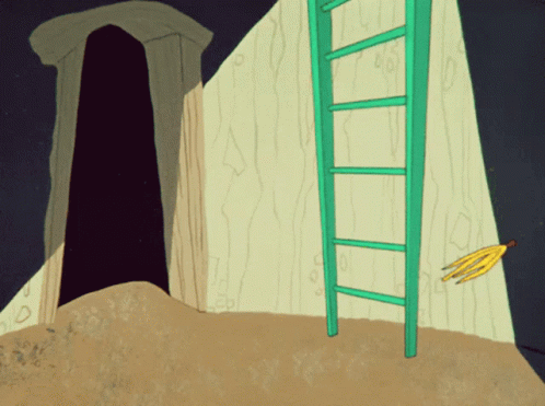 Wile E Coyote Looney Tunes GIF - Wile E Coyote Looney Tunes Road Runner GIFs
