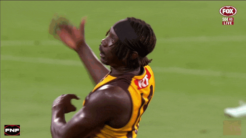 a man in a tasmanian jersey waves his hand
