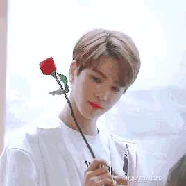 a young man in a white shirt is holding a red rose .