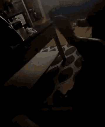 a person standing in a dark room holding something