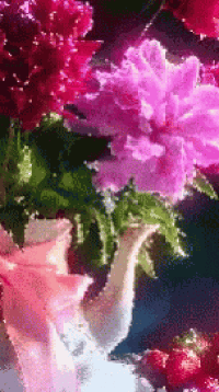 a vase filled with pink and purple flowers and strawberries