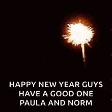 a happy new year greeting card with fireworks and the words `` happy new year guys have a good one paula and norm ''