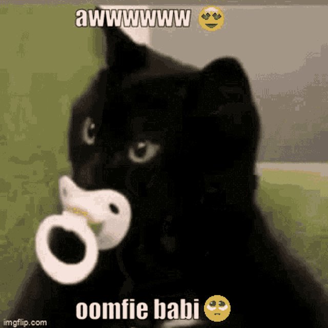 a black cat is holding a pacifier in its mouth and says awwwwww oomfie babi
