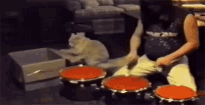 a person is playing drums in a living room while a cat watches .