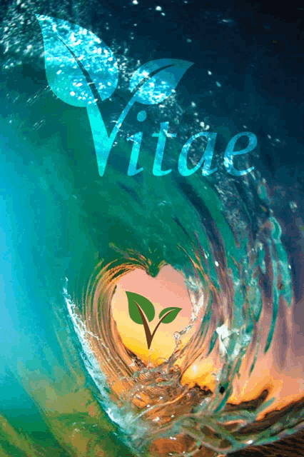 a picture of a wave with the word vitae written on it
