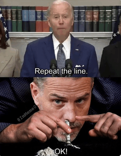 Sniff Cocaine Hunter Biden GIF - Sniff Cocaine Hunter Biden Joe Biden Son GIFs