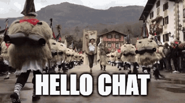 Hello Chat Basque GIF - Hello Chat Basque Hi Chat GIFs