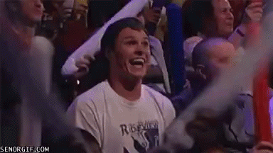 Excited Fan GIF - Excited Fan Yay GIFs