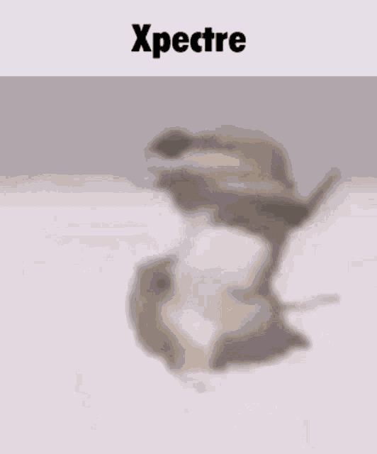 a blurred image of a bird flying in the air with the words xpectre written below it .