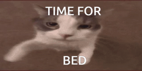 Bed Time Time For Bed GIF - Bed Time Time For Bed GIFs