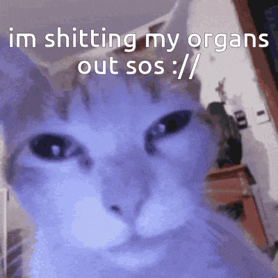 a cat with the words im shitting my organs out sos written on it