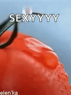 Tomatoes Dew GIF - Tomatoes Dew Drop GIFs