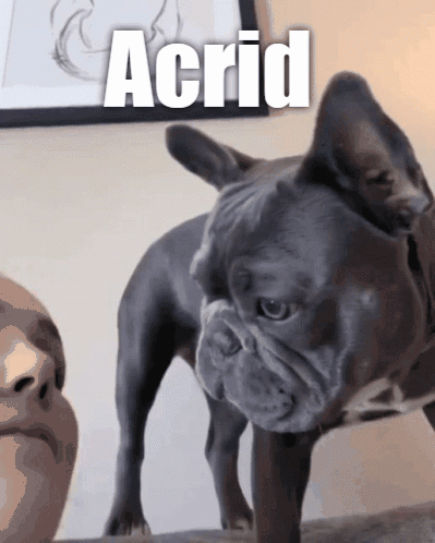 Acrid Dog GIF - Acrid Dog Barf GIFs