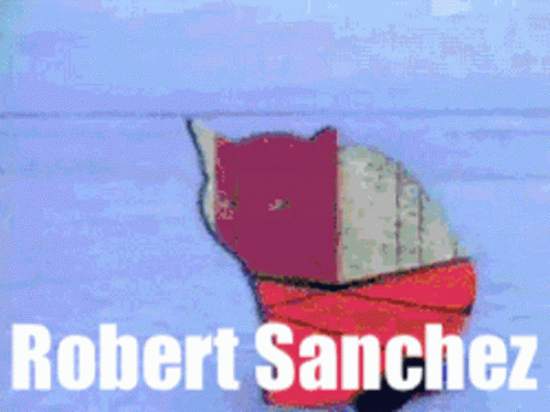 Robert Robert Sanchez GIF - Robert Robert Sanchez Robert Sanchez Cat GIFs
