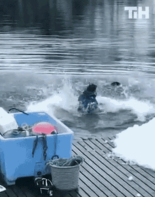 Rescue This Is Happening GIF - Rescue This Is Happening Fall Into Water GIFs