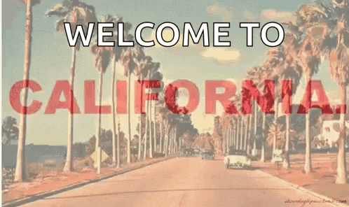 a pink background with palm trees and the words `` welcome to california '' .