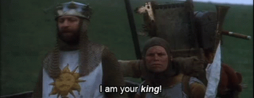 Monty Python And The Holy Grail King Iam Your King GIF - Monty Python And The Holy Grail King Iam Your King I Didnt Vote For You GIFs