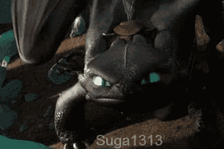 a picture of toothless from how to train your dragon with the name suga 1313 on the bottom