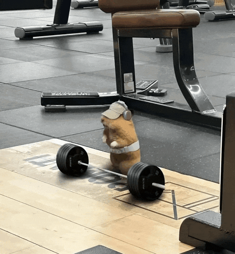 a hamster wearing headphones and a hat is lifting a barbell