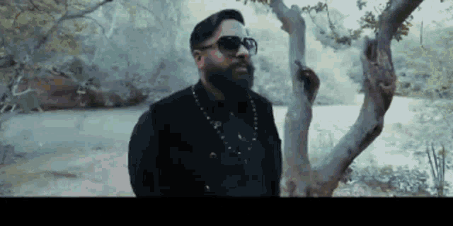 a man with a beard and sunglasses is leaning against a tree