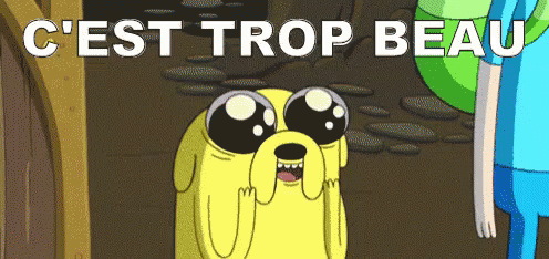 Trop Beau GIF - Jake Finn Adventure Time GIFs