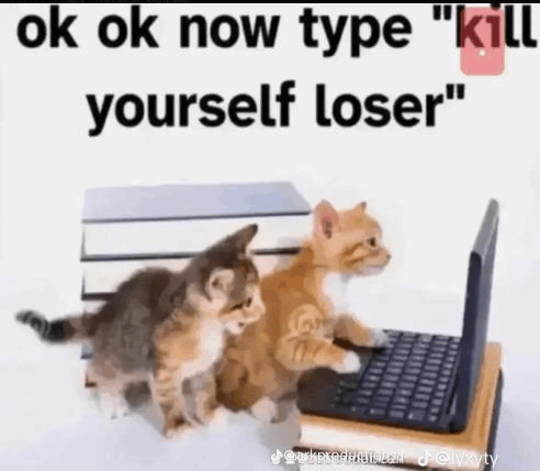 Ok Now Type Kill Yourself Loser GIF - Ok Now Type Kill Yourself Loser GIFs