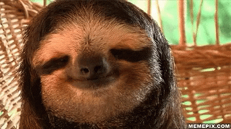 Funny Animals Sloth GIF - Funny Animals Sloth Hammock GIFs