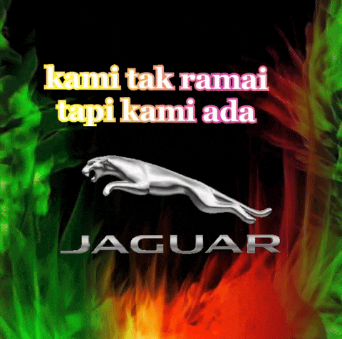 a jaguar logo on a black background with flames