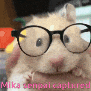 Mika-senpai Hamster GIF - Mika-senpai Mika Hamster GIFs