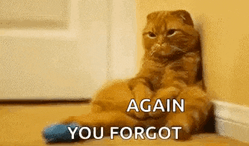 a cat is sitting on the floor with its legs crossed and the words `` again you forgot '' written on it .