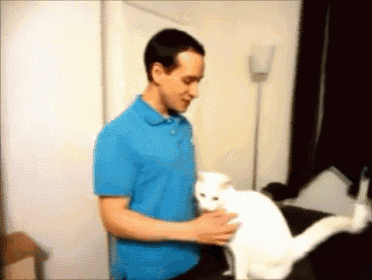 a man in a blue shirt is petting a white cat on a couch
