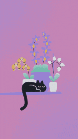 a black cat laying on a shelf next to potted flowers