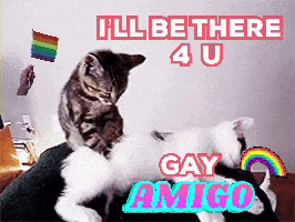 two cats laying on top of each other with the words " i 'll be there 4 u gay amigo " above them
