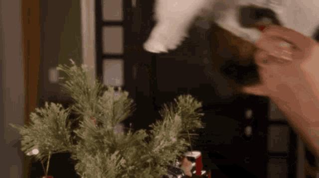 A Cinderella Story Jo Newmarch GIF - A Cinderella Story Jo Newmarch Christmas Decor GIFs