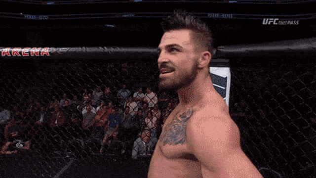 Mike Perry Ufc GIF - Mike Perry Ufc Chicken GIFs