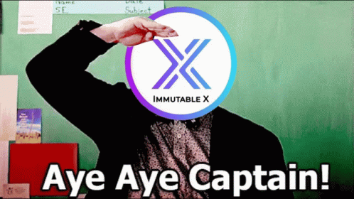 Imx Immutable X GIF - Imx Immutable X Imxteam GIFs
