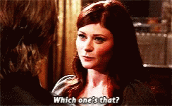 Once Upon A Time Ouat GIF - Once Upon A Time Ouat Which Ones That GIFs