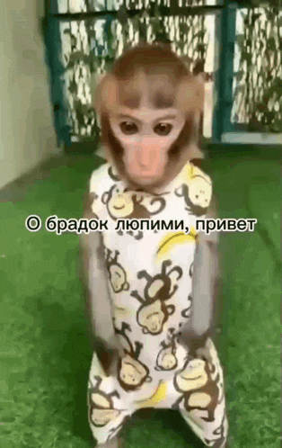 a monkey is wearing a pajama set with monkeys on it and kneeling down .