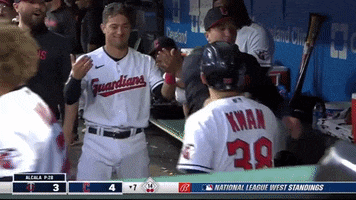 a baseball player with the number 29 on the back of his shirt