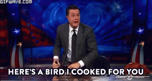 Bird Colbert GIF - Bird Colbert GIFs